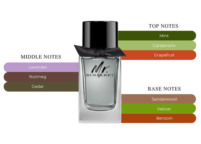 Load image into Gallery viewer, Perfumes- Mr. Burberry By Burberry Eau De Toilette 3.4oz/100ml
