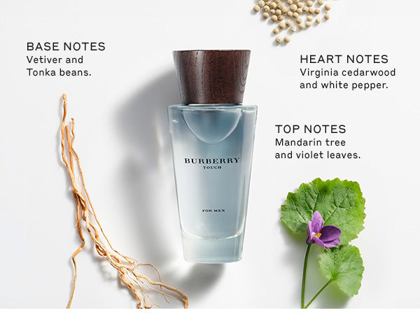Load image into Gallery viewer, Perfumes- Touch By Burberry Eau De Toilette 3.4oz/100ml
