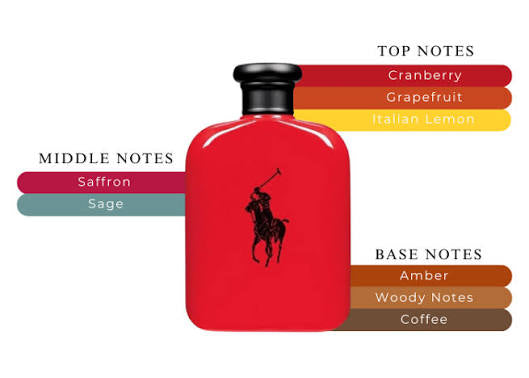 Perfume Set- Polo Red By Ralph Lauren Eau De Toilette