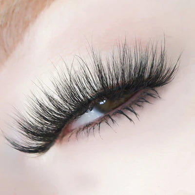 Load image into Gallery viewer, Eyes- Kara Beauty HELLALASHES 8D Vegan Mink- Laguna L012 (12pc box, $2.50 each)
