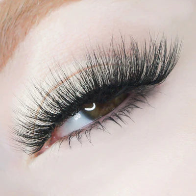 Load image into Gallery viewer, Eyes- Kara Beauty HELLALASHES 8D Vegan Mink- SC L001 (12pc box, $2.50 each)
