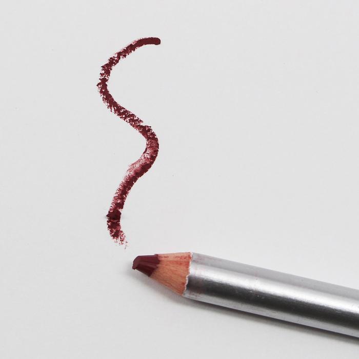 Load image into Gallery viewer, Amuse Lip Liner “Cola” (12pc bulk)
